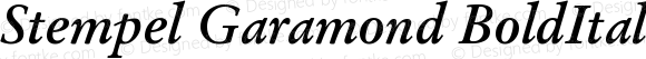 Stempel Garamond Bold Italic Oldstyle Figures