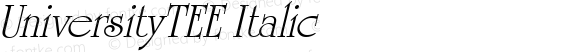 UniversityTEE Italic