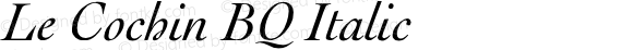 Le Cochin Italic