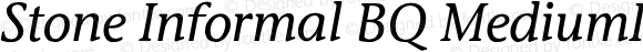 Stone Informal Medium Italic