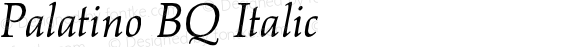 Palatino* Italic