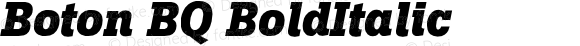 Boton (R) Bold Italic