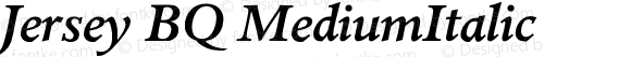Jersey (R) Medium Italic