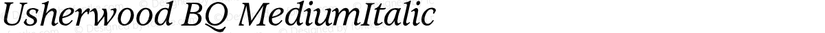 Usherwood BQ MediumItalic