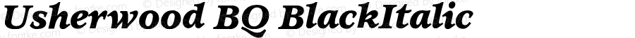 Usherwood Black Italic