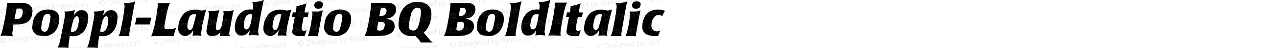 Poppl-Laudatio (R) Bold Italic