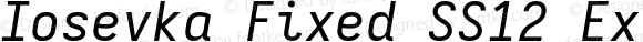 Iosevka Fixed SS12 Extended Italic