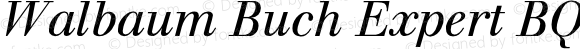 Walbaum Buch (R) Expert Italic OsF