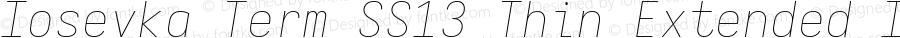 Iosevka Term SS13 Thin Extended Italic