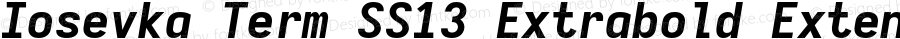 Iosevka Term SS13 Extrabold Extended Italic