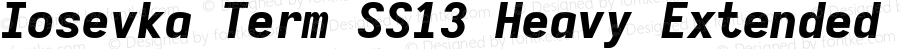 Iosevka Term SS13 Heavy Extended Italic