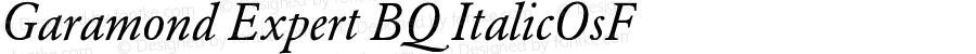 Garamond (R) Expert Italic OsF