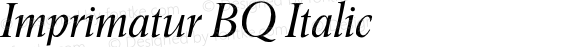 Imprimatur BQ Italic