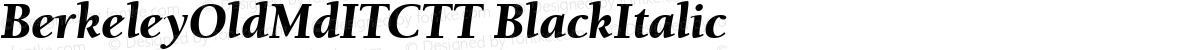 BerkeleyOldMdITCTT BlackItalic