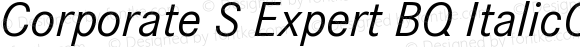 Corporate S Expert Italic OsF