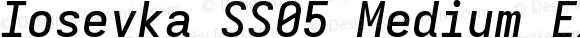 Iosevka SS05 Medium Extended Italic