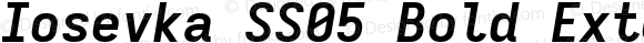Iosevka SS05 Bold Extended Italic