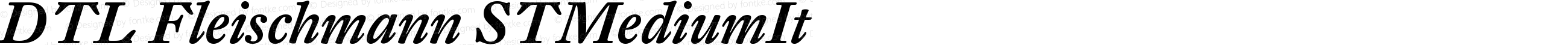 DTL Fleischmann ST Medium Italic