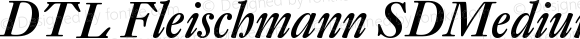 DTL Fleischmann SD Medium Italic