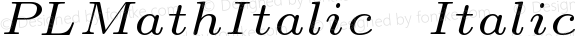 PLMathItalic6 Italic