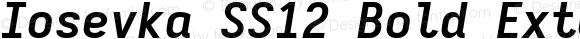Iosevka SS12 Bold Extended Italic