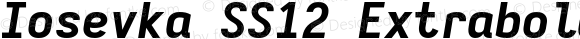 Iosevka SS12 Extrabold Extended Italic