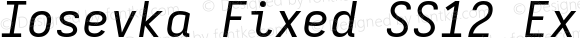 Iosevka Fixed SS12 Extended Italic