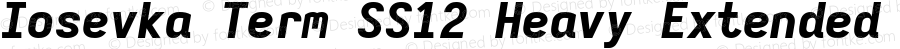 Iosevka Term SS12 Heavy Extended Italic