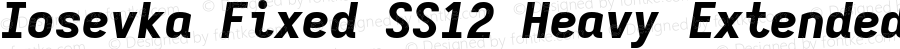 Iosevka Fixed SS12 Heavy Extended Italic