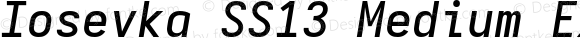 Iosevka SS13 Medium Extended Italic