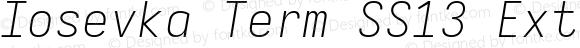 Iosevka Term SS13 Extralight Extended Italic