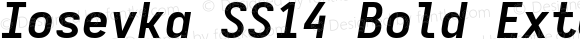 Iosevka SS14 Bold Extended Italic