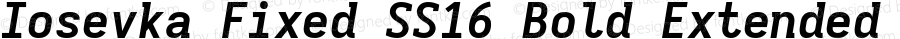 Iosevka Fixed SS16 Bold Extended Italic