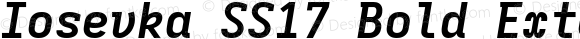 Iosevka SS17 Bold Extended Italic
