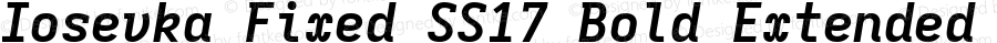 Iosevka Fixed SS17 Bold Extended Italic