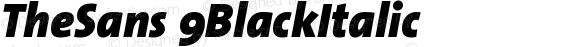 TheSans 9BlackItalic