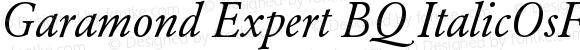 Garamond (R) Expert Italic OsF