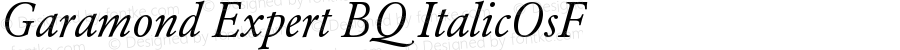 Garamond (R) Expert Italic OsF