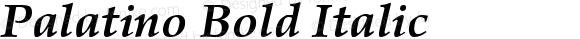 Palatino Bold Italic