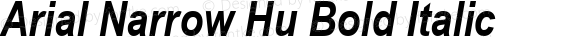 Arial Narrow Hu Bold Italic Version 2.20