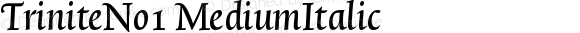 TriniteNo1 MediumItalic