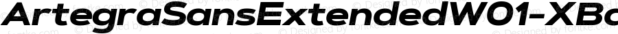 ArtegraSansExtendedW01-XBdIt Regular Version 1.004
