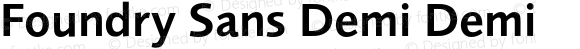 Foundry Sans Demi Demi