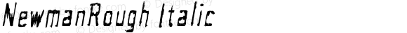 NewmanRough Italic