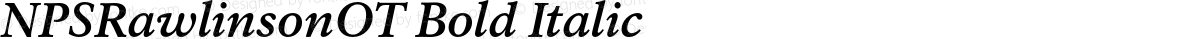 NPSRawlinsonOT Bold Italic