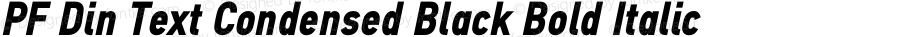 PFDinTextCondensedBlack-Italic