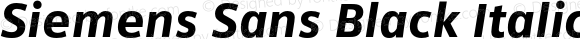 Siemens Sans Black Italic