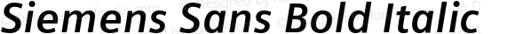 Siemens Sans Bold Italic