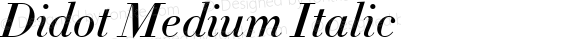 Didot Medium Italic