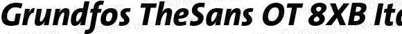 Grundfos TheSans OT 8XB Italic